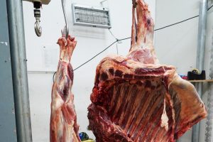 Top 5 Hog Abattoir Tools to Improve Throughput