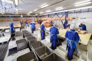 Boosting Meat Processing Efficiency in Australia with Ibex Trimmers – Key Features and Benefits