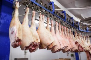 Pneumatic Bolt Stunners are Shaping Humane Meat Processing Practices Across Australia and in Southeast Asia