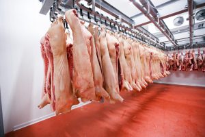 Innovations in Pork Processing: Spotlight on Termet Equipment